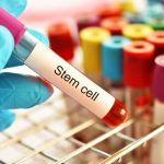 News Update on Stem Cells December 2020