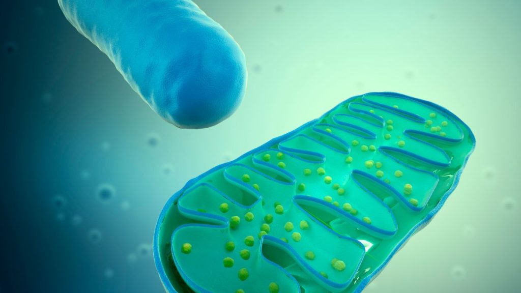 Why Upregulate your Mitochondria with Methylene Blue